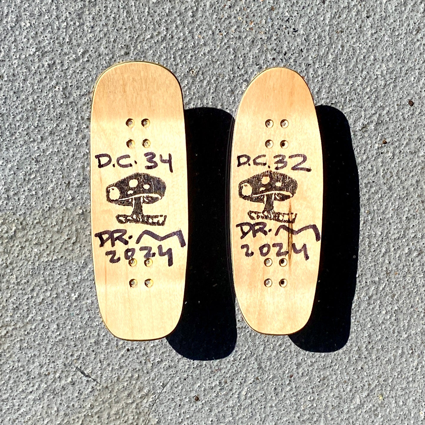 Dr.M's Frog Mom data collectors