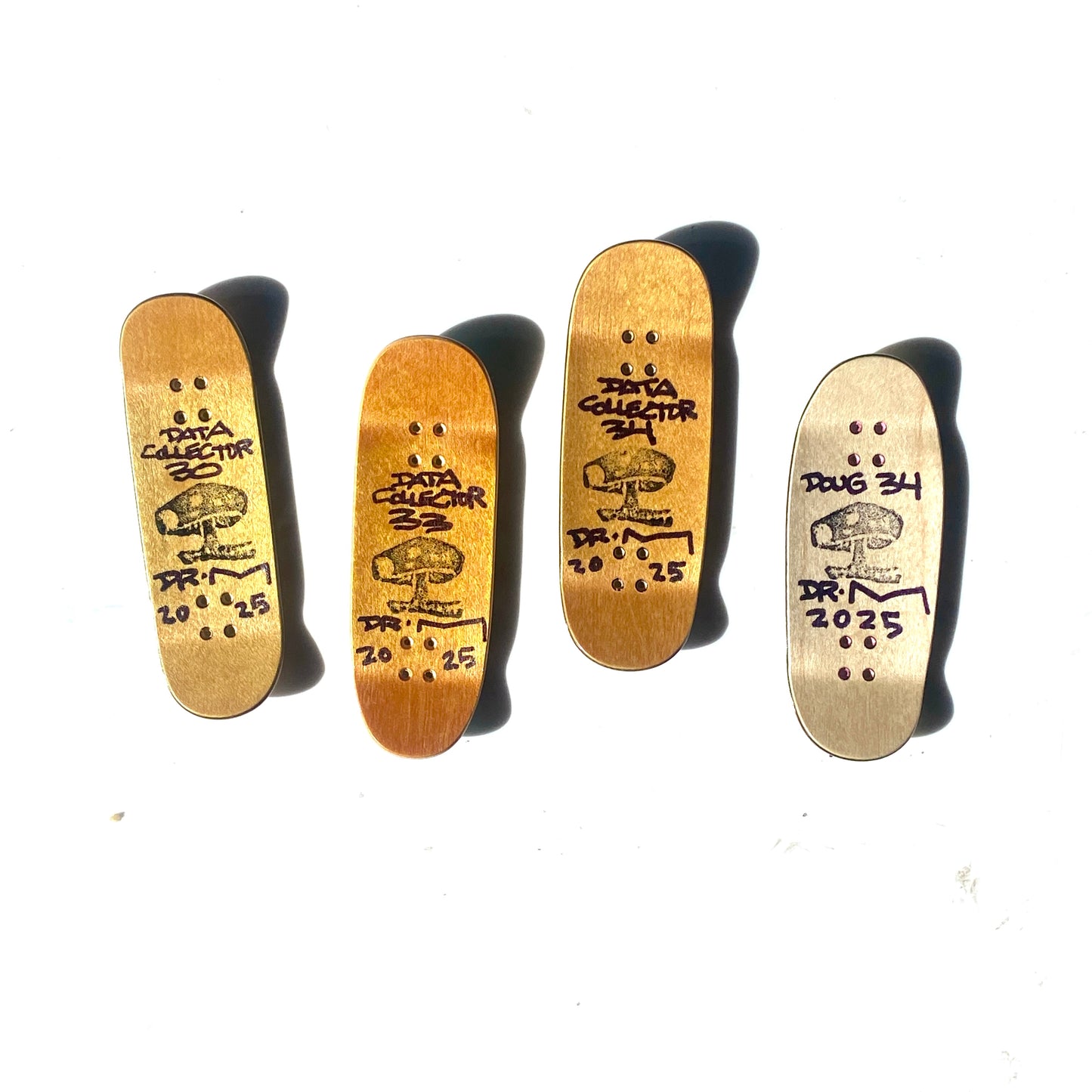 Data Collectors 2025